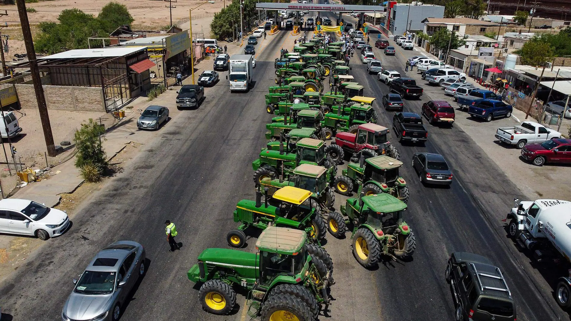 TRIGEROS LA VOZ DE LA FRONTERA. FOTO SERGIO CARO LA VOZ DE LA FRONTERA (3)